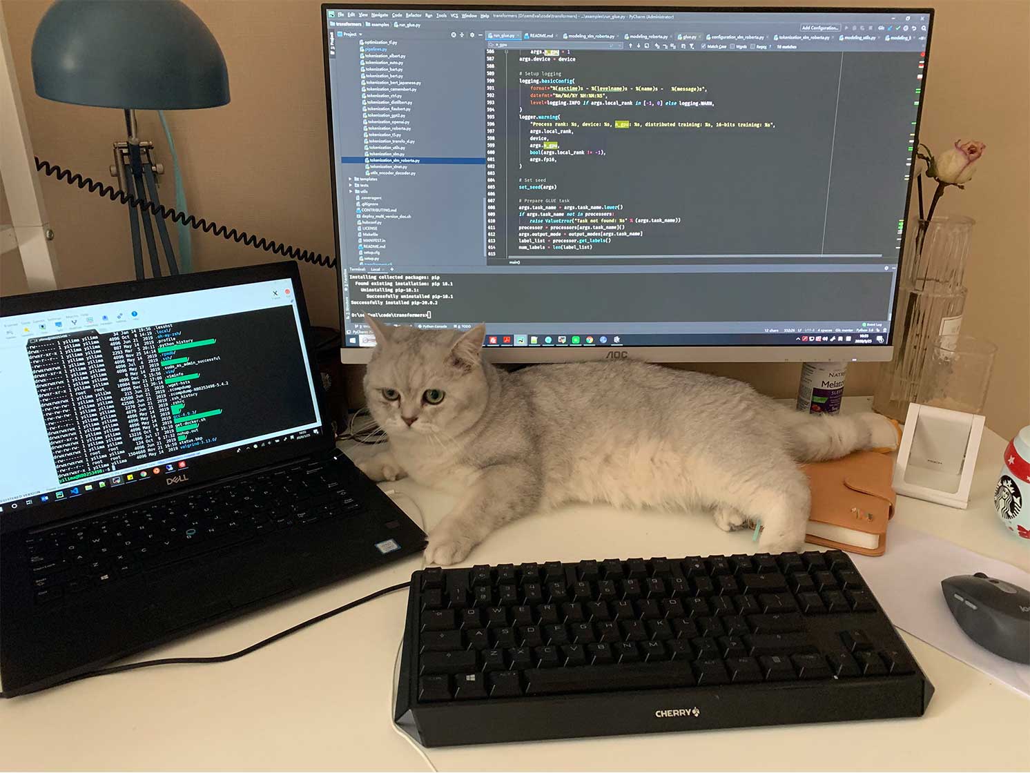 Award-Winning Experimentation on Humanizing AI, with Rachel and the Semantic Research Team